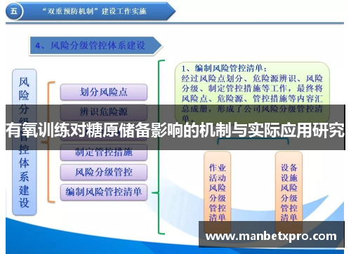 有氧训练对糖原储备影响的机制与实际应用研究