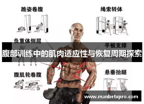 腹部训练中的肌肉适应性与恢复周期探索
